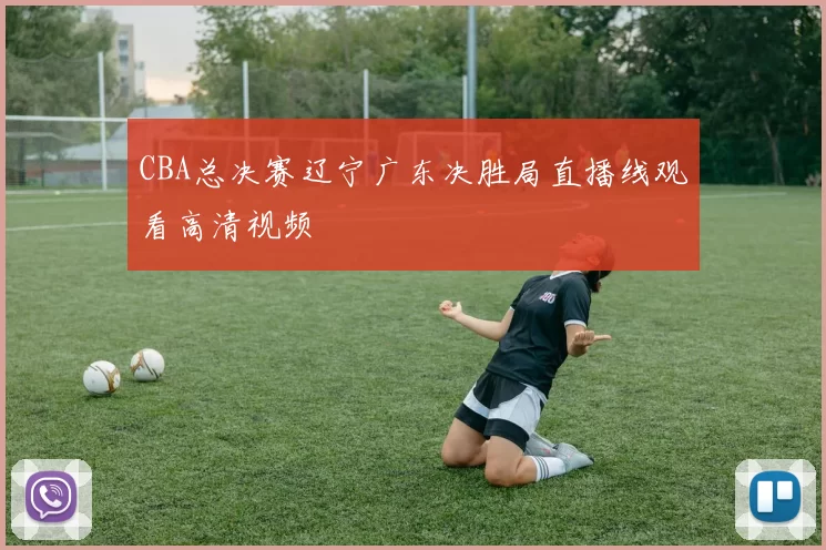 CBA总决赛辽宁广东决胜局直播线观看高清视频