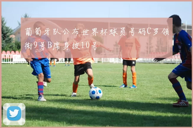 葡萄牙队公布世界杯球员号码C罗领衔9号B席身披10号