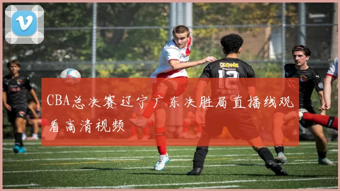 CBA总决赛辽宁广东决胜局直播线观看高清视频