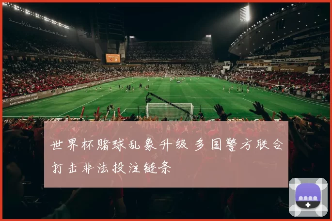 世界杯赌球乱象升级 多国警方联合打击非法投注链条